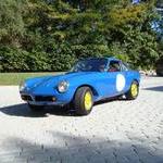 GSM Flamingo ever seen one