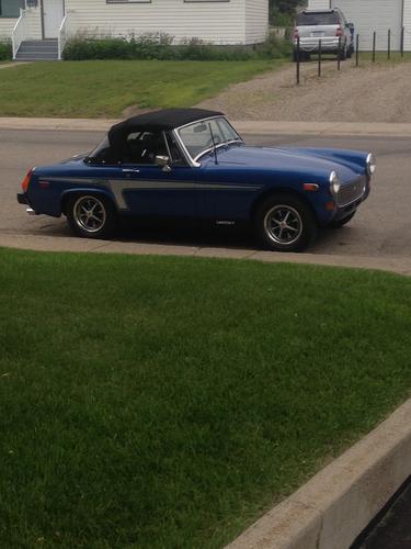 darayner Daryl Rayner