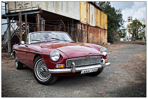 WT704963 William Tung